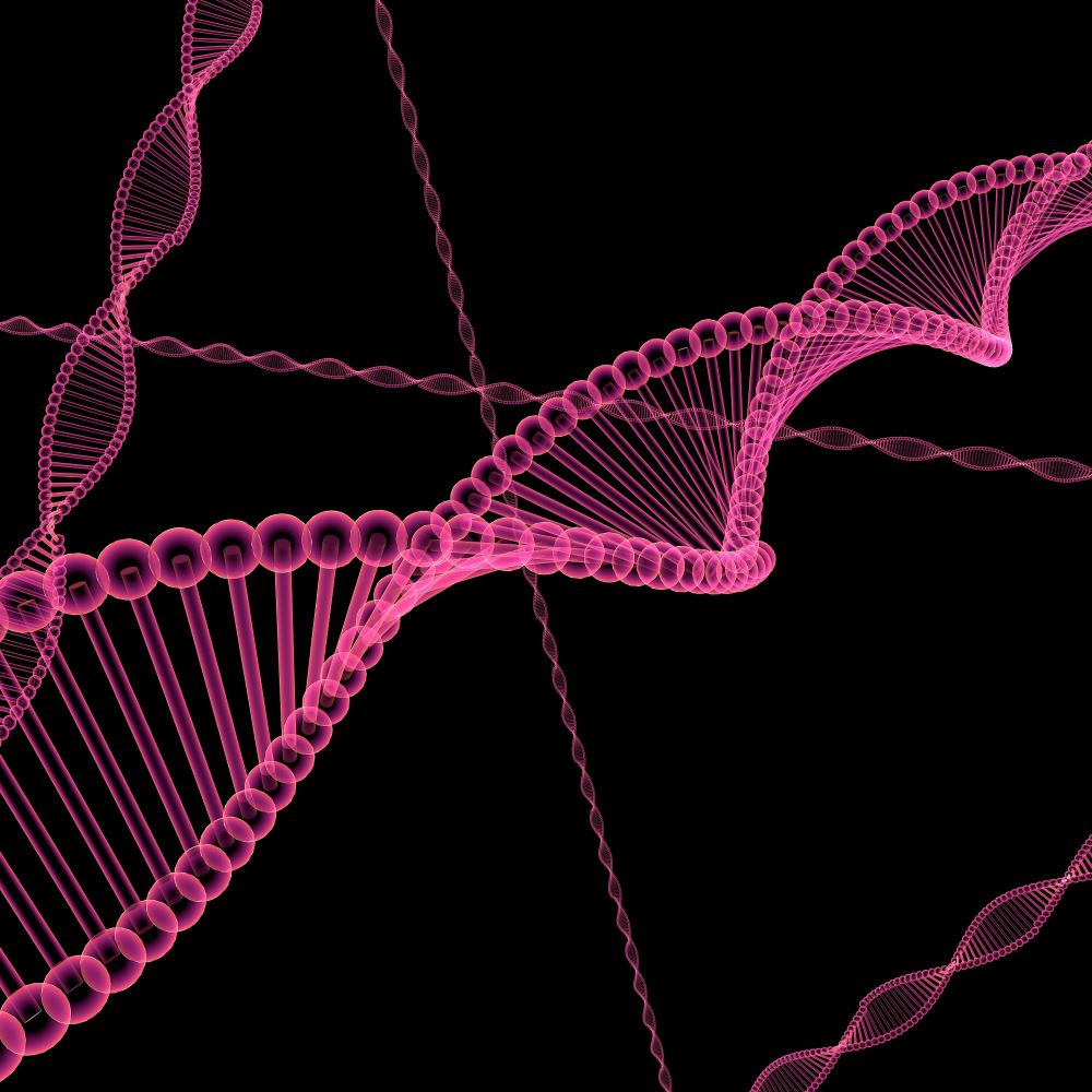 DNA strands