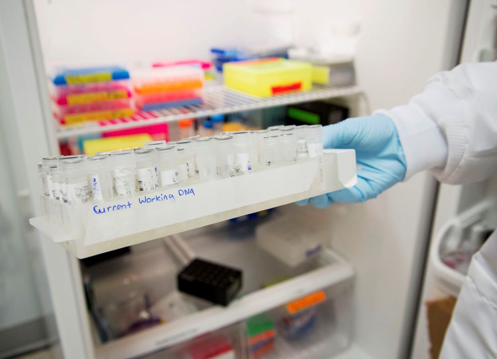 Genetics DNA samples