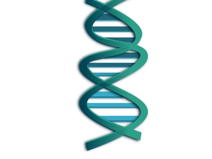 DNA molecule