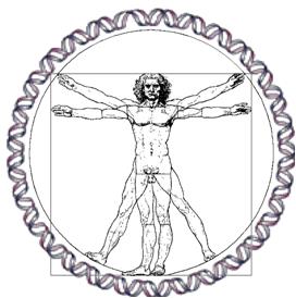 Vitruvian man